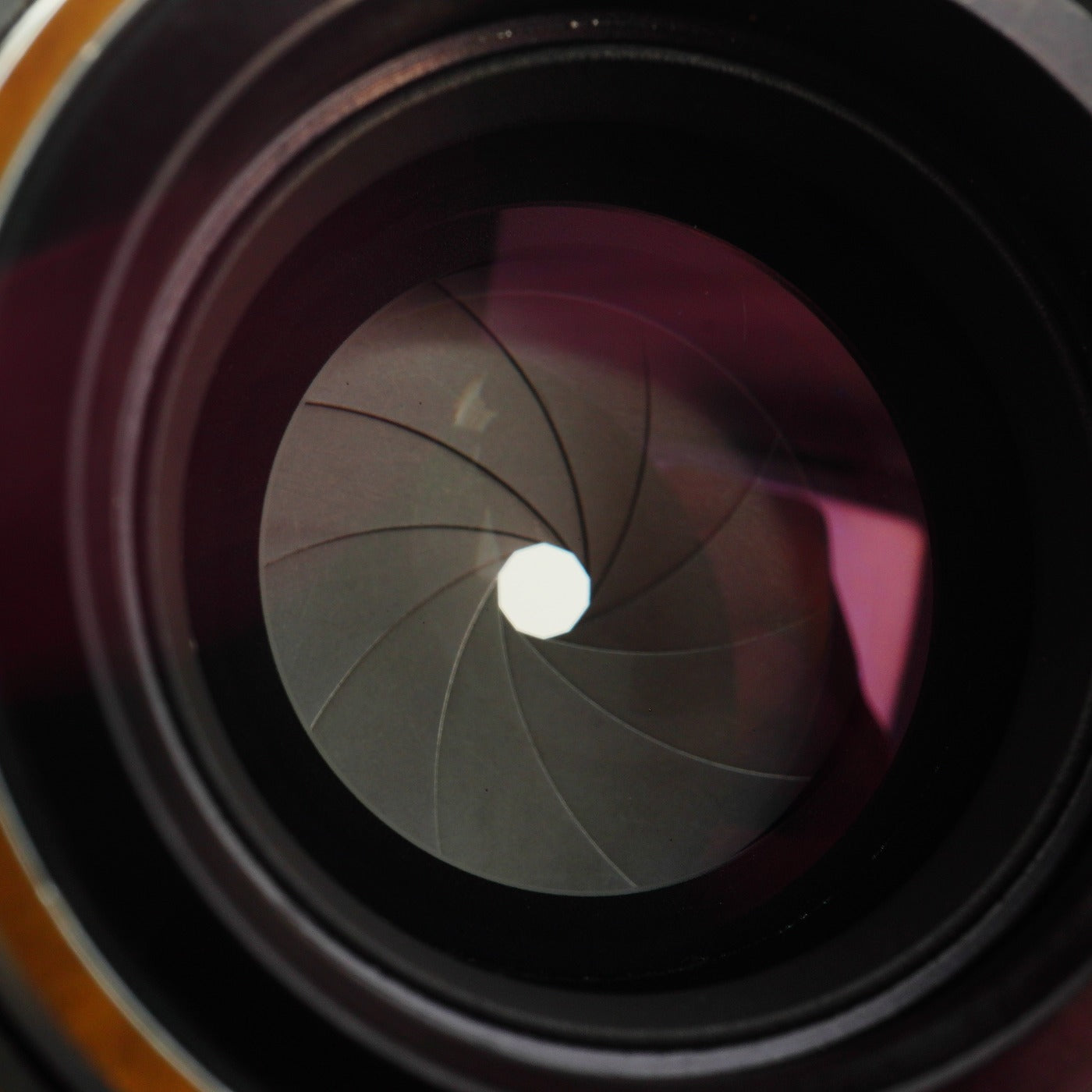 【Serviced】 Nikon Nikkor-H.C 5cm 50mm F/2 For Leica LTM L39 単焦点レンズ