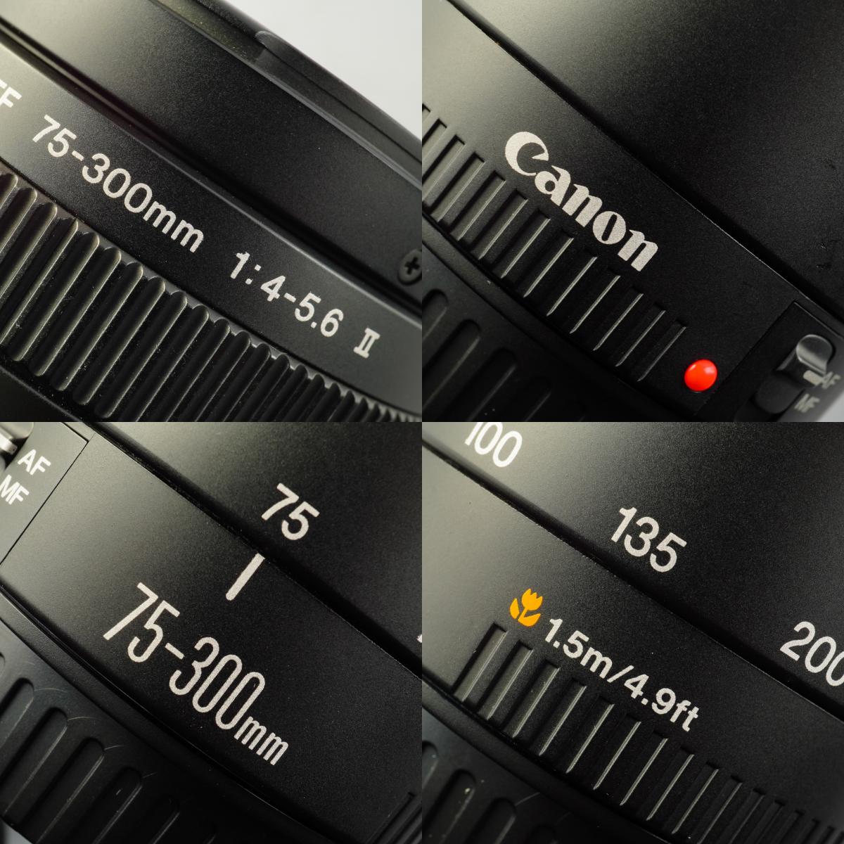 Canon EF 75-300mm F/4-5.6 Ⅱ ズームレンズ