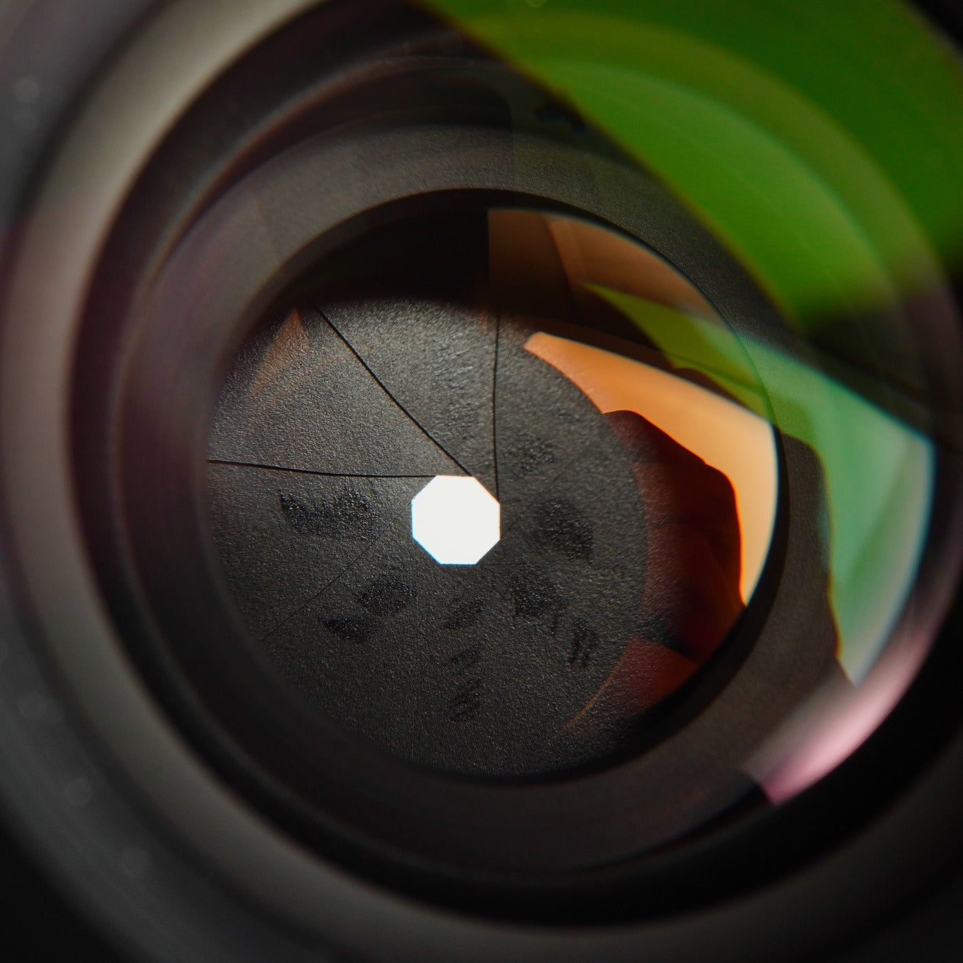 Nikon EL Nikkor 50mm F/2.8 単焦点レンズ