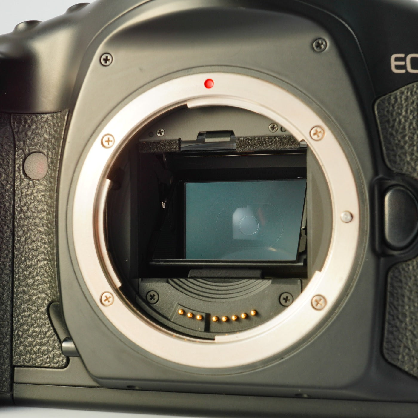 Canon EOS 1V Count 11 AF フィルム一眼レフカメラ