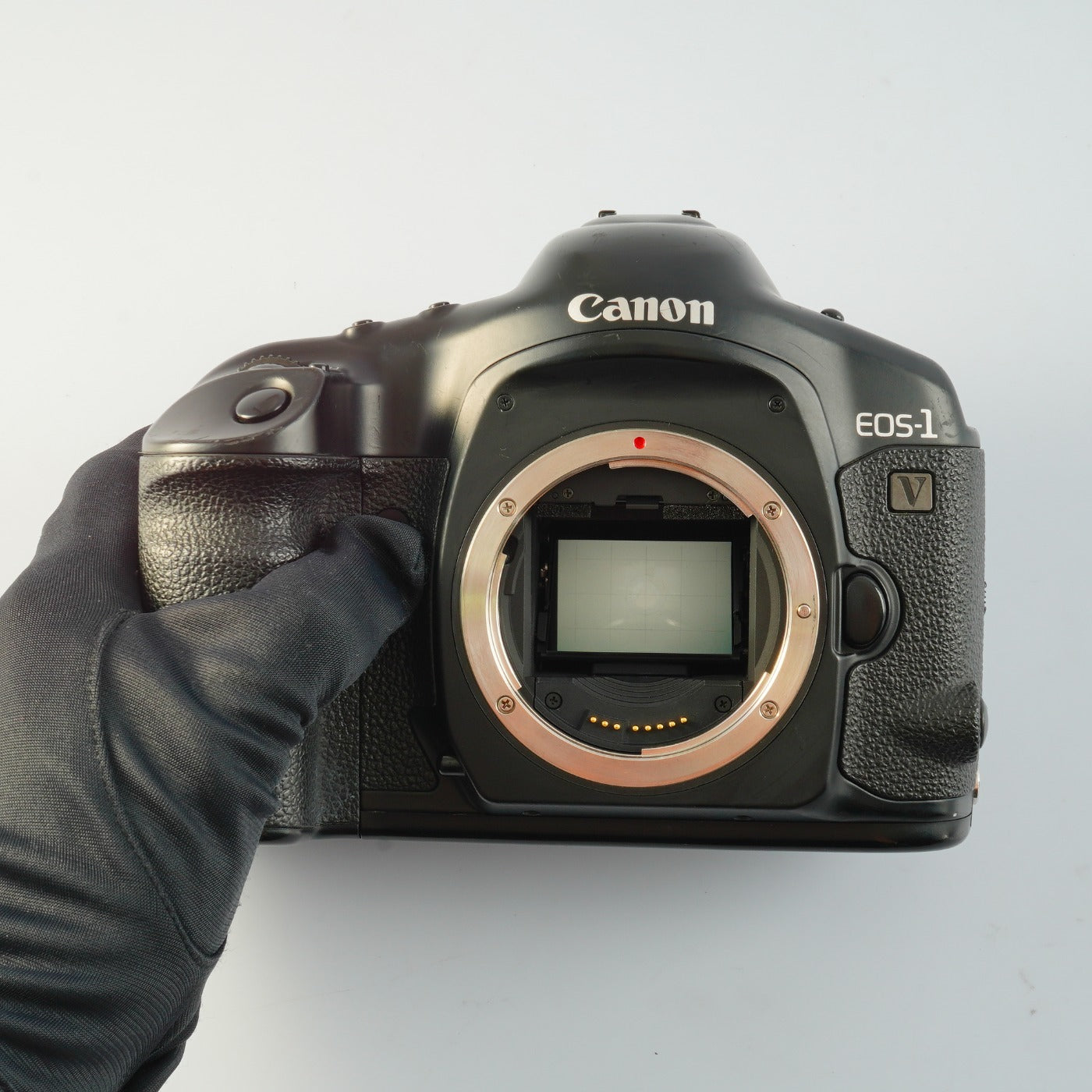 Canon EOS 1V Count 492 AF フィルム一眼レフカメラ