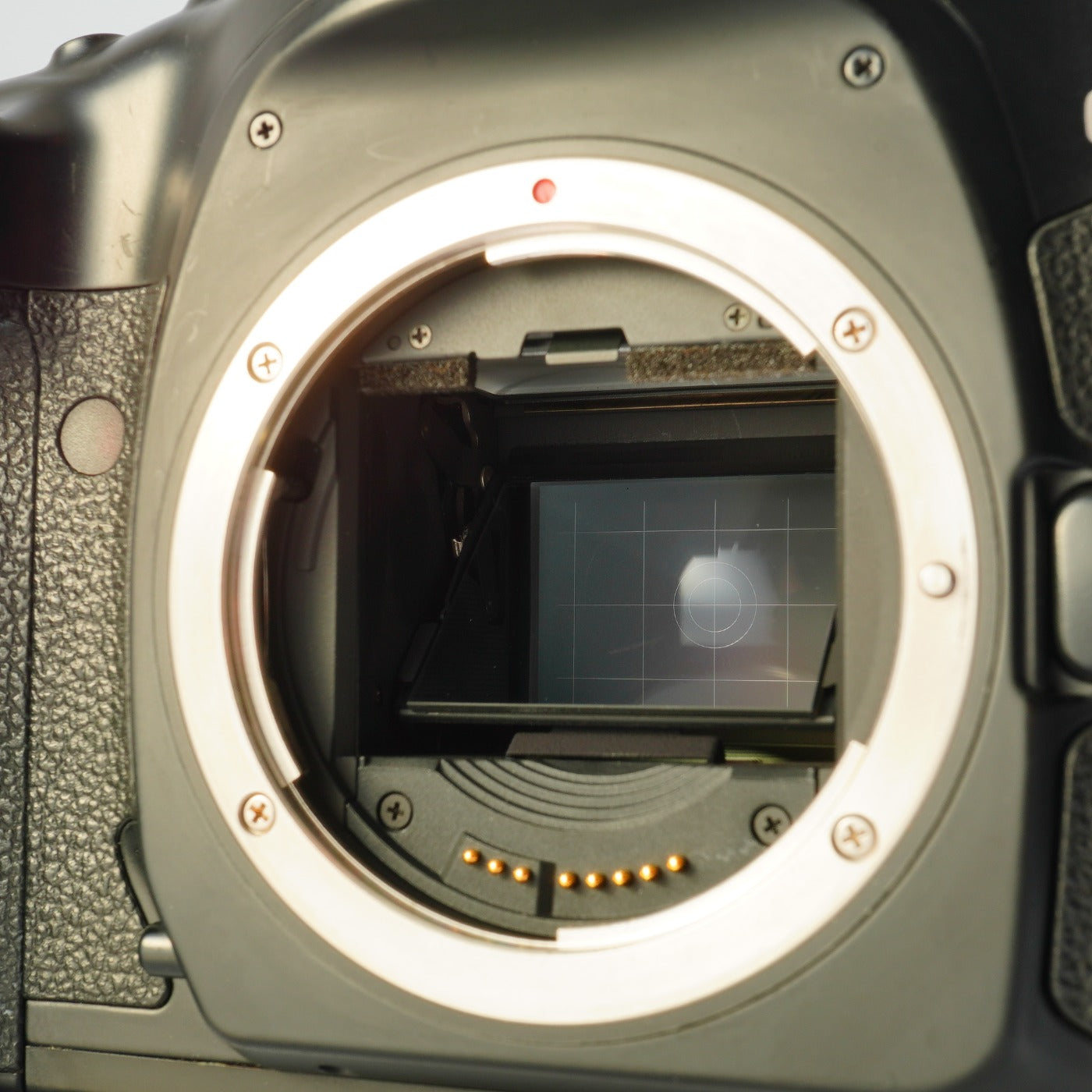 Canon EOS 1V Count 492 AF フィルム一眼レフカメラ