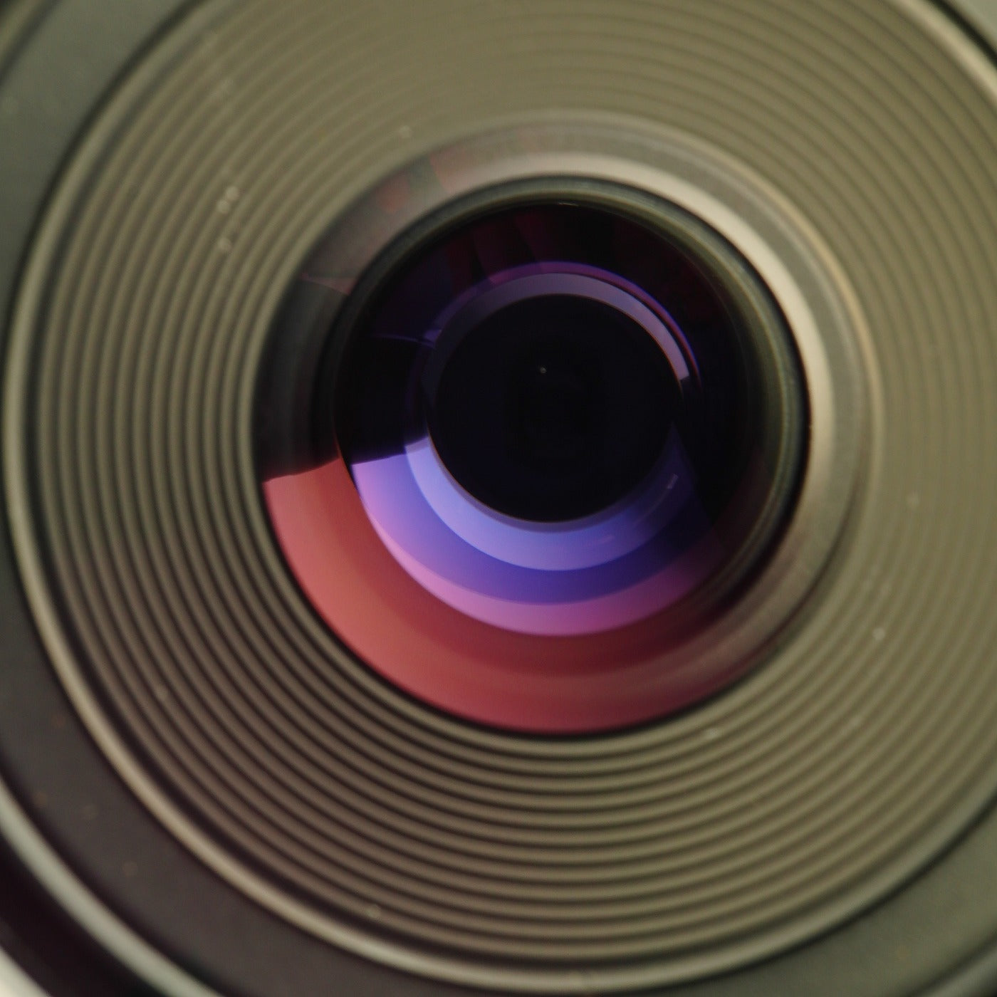 OLYMPUS OM-SYSTEM ZUIKO AUTO-1:1 MACRO 80 mm F/4 + Extension Tube 単焦点レンズ