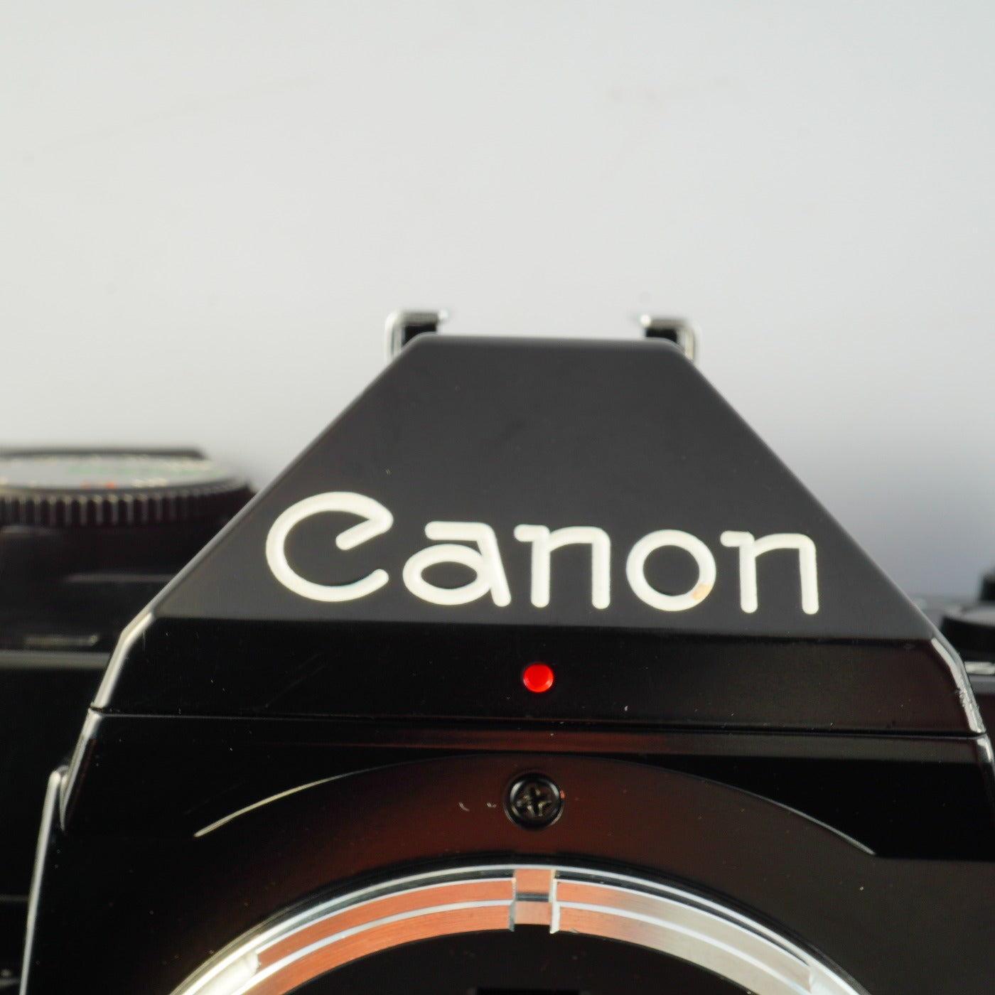 【Serviced】 Canon AE-1 Program Black + New FD 50mm F/1.4 MF フィルム一眼レフカメラ