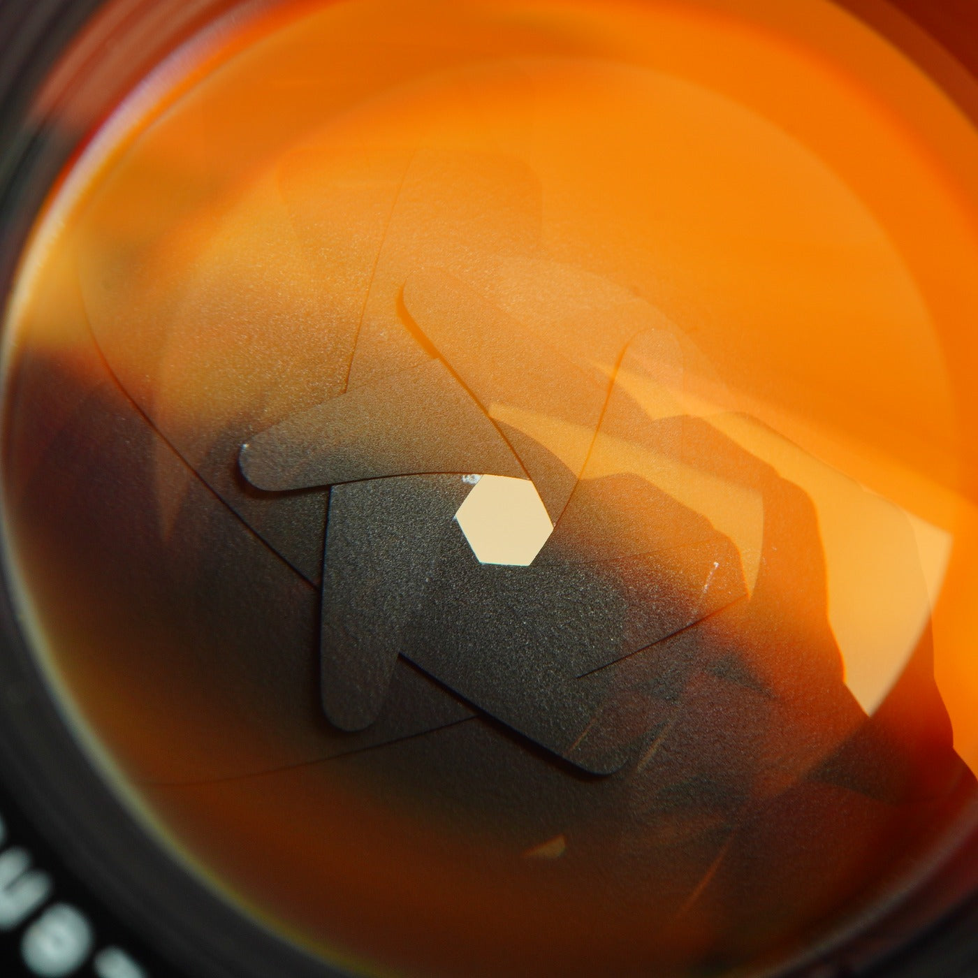 PENTAX Super Takumar 50mm F/1.4 (M42用) 単焦点レンズ