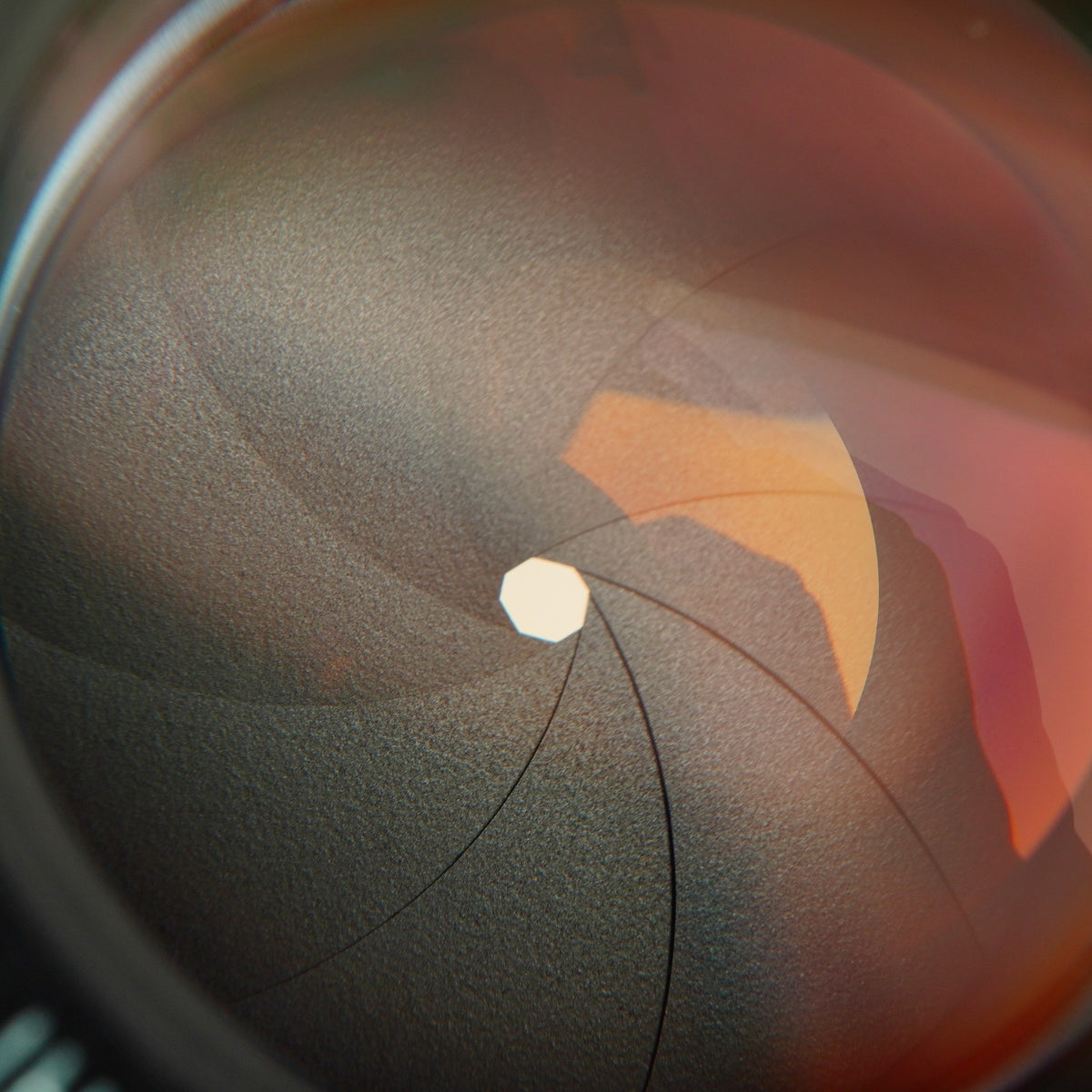 【Serviced】 PENTAX Super-Multi-Coated Takumar 50mm F/1.4 (M42用) 単焦点レンズ