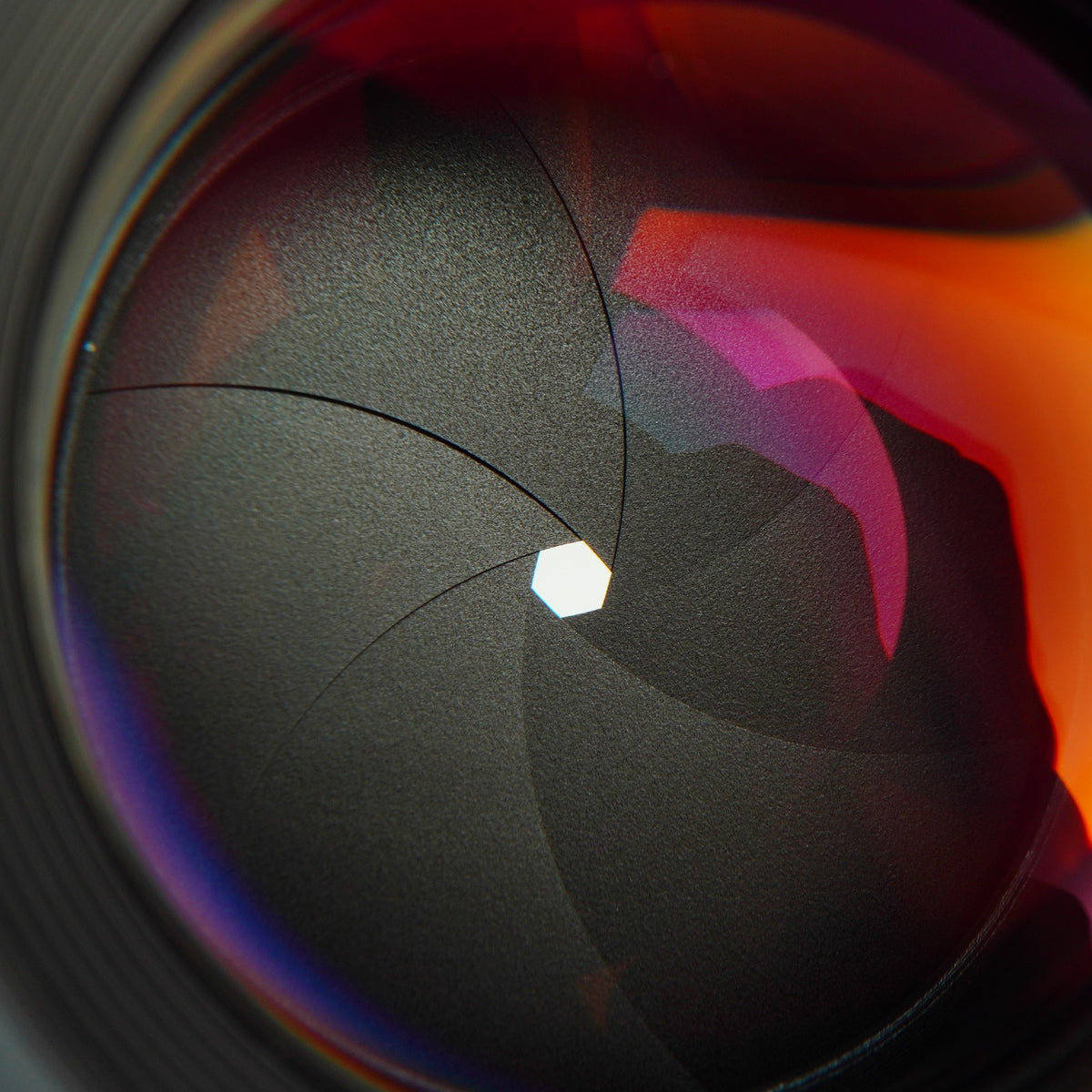 【Serviced】 CONTAX Carl Zeiss Planar T* 50mm F/1.4 AEJ 単焦点レンズ