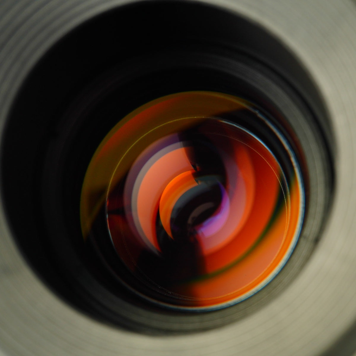 Canon EF Macro 100mm F/2.8 マクロレンズ