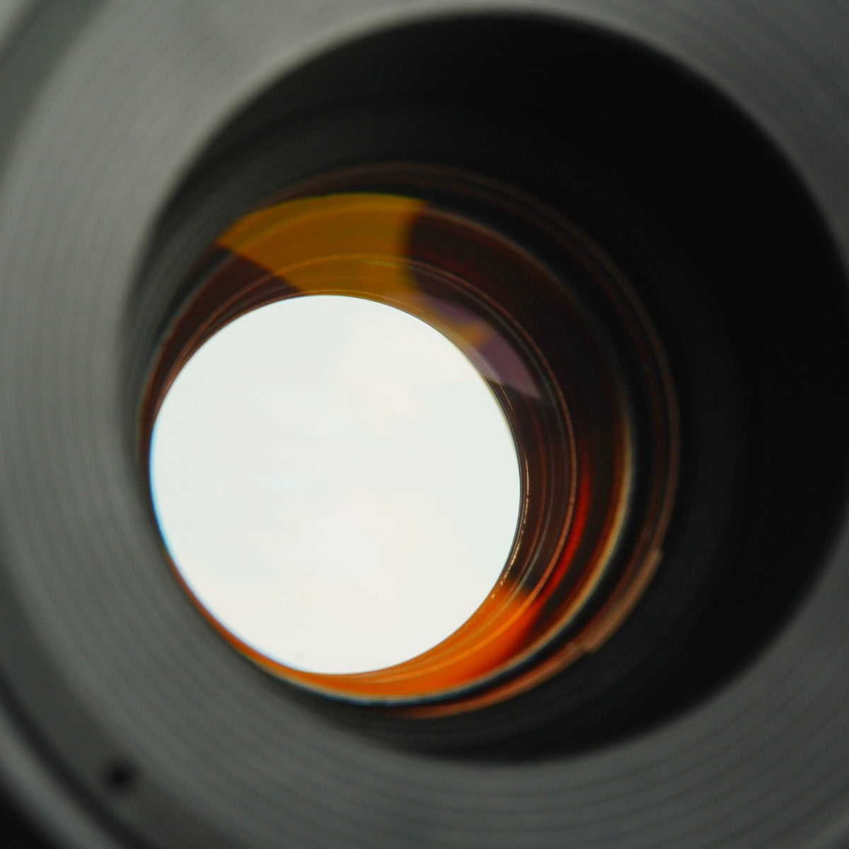 Canon EF Macro 100mm F/2.8 マクロレンズ