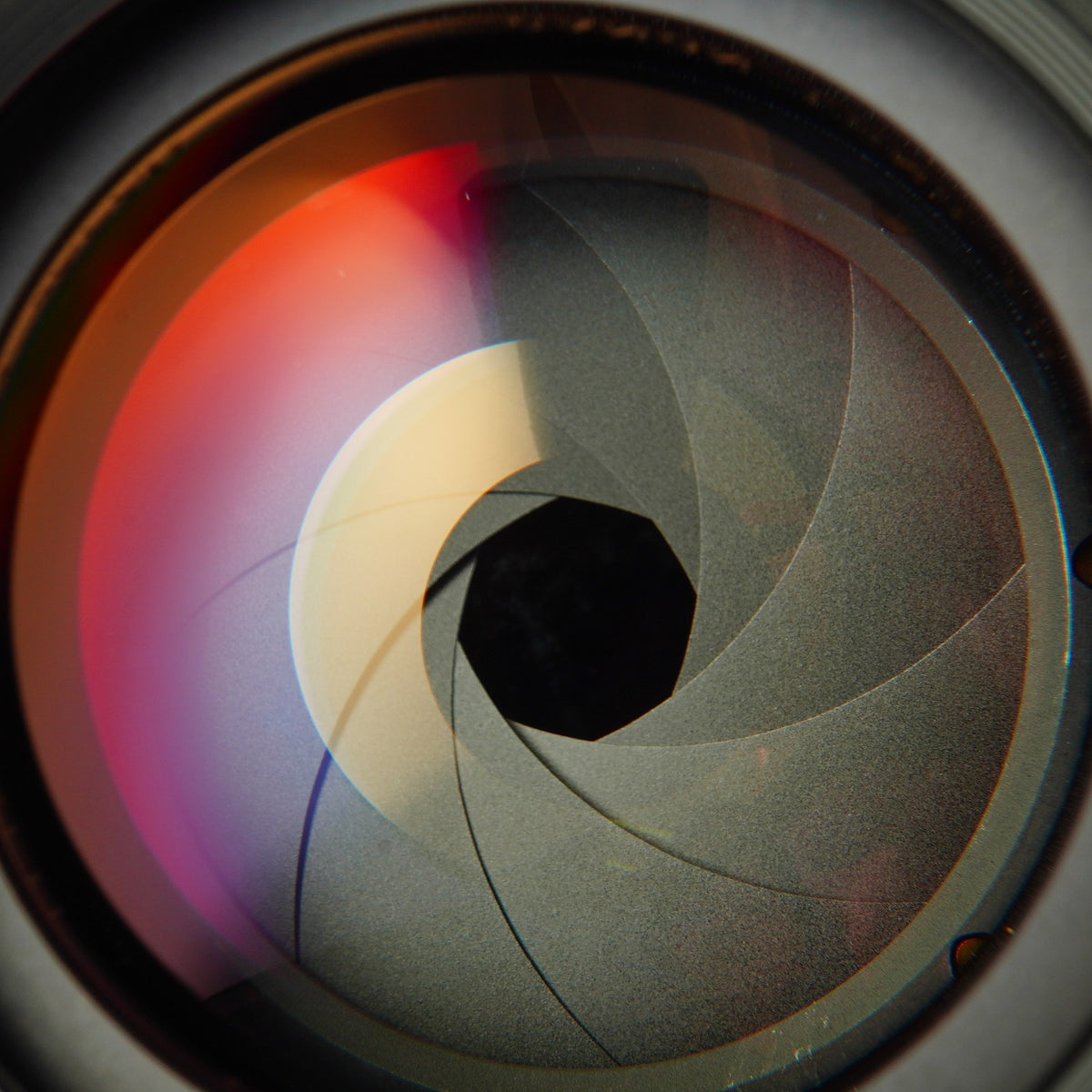【Serviced】 Canon FD 50mm F/1.4 SSC s.s.c. "O" 単焦点レンズ