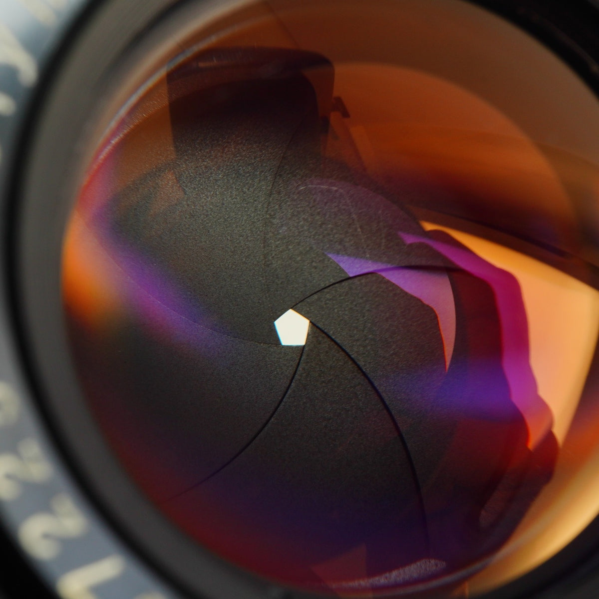 【Serviced】 OLYMPUS G.ZUIKO AUTO-S 40mm F/1.4 for PEN FT / FV / F 単焦点レンズ