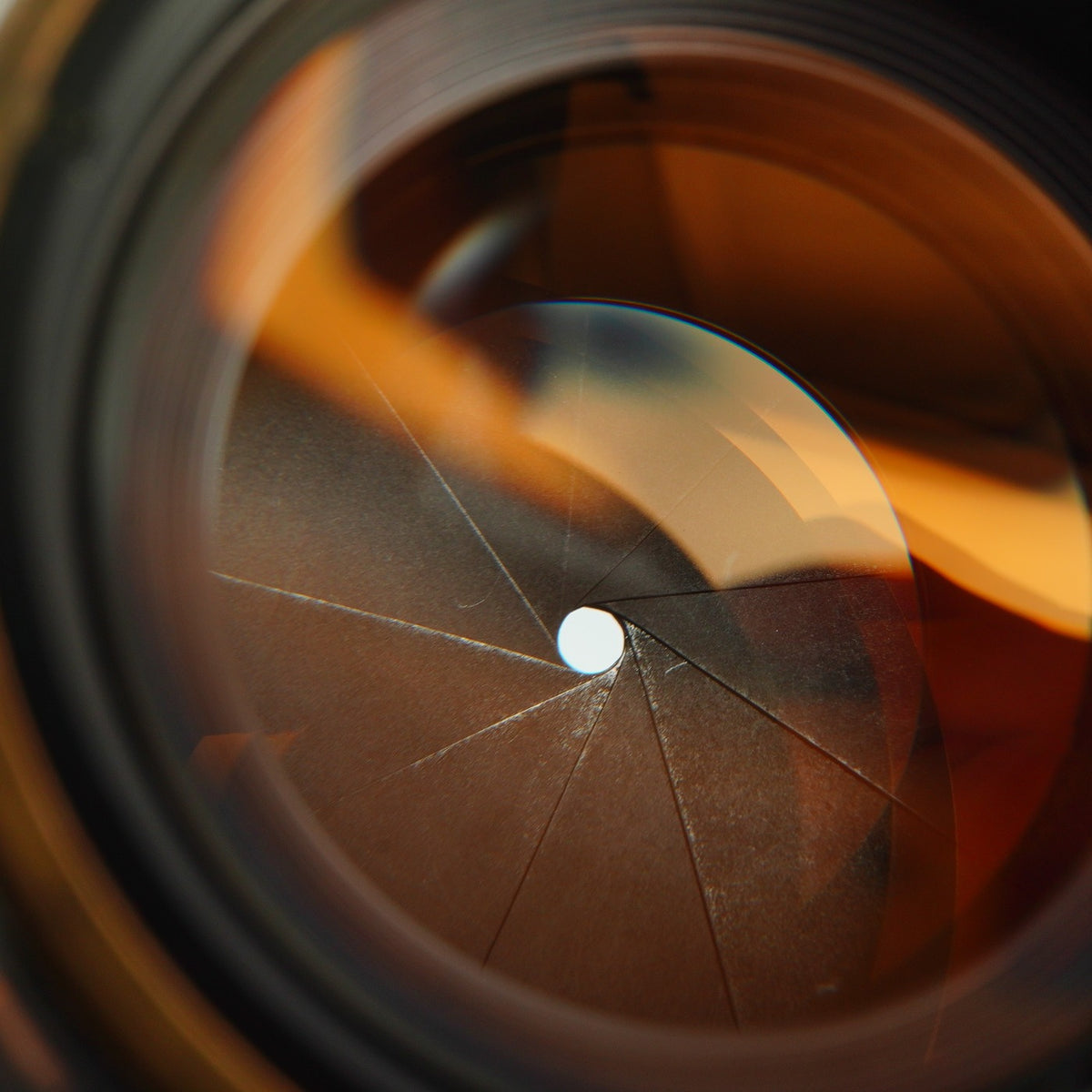 【Serviced】 Canon 50mm F/1.4 LTM 単焦点レンズ