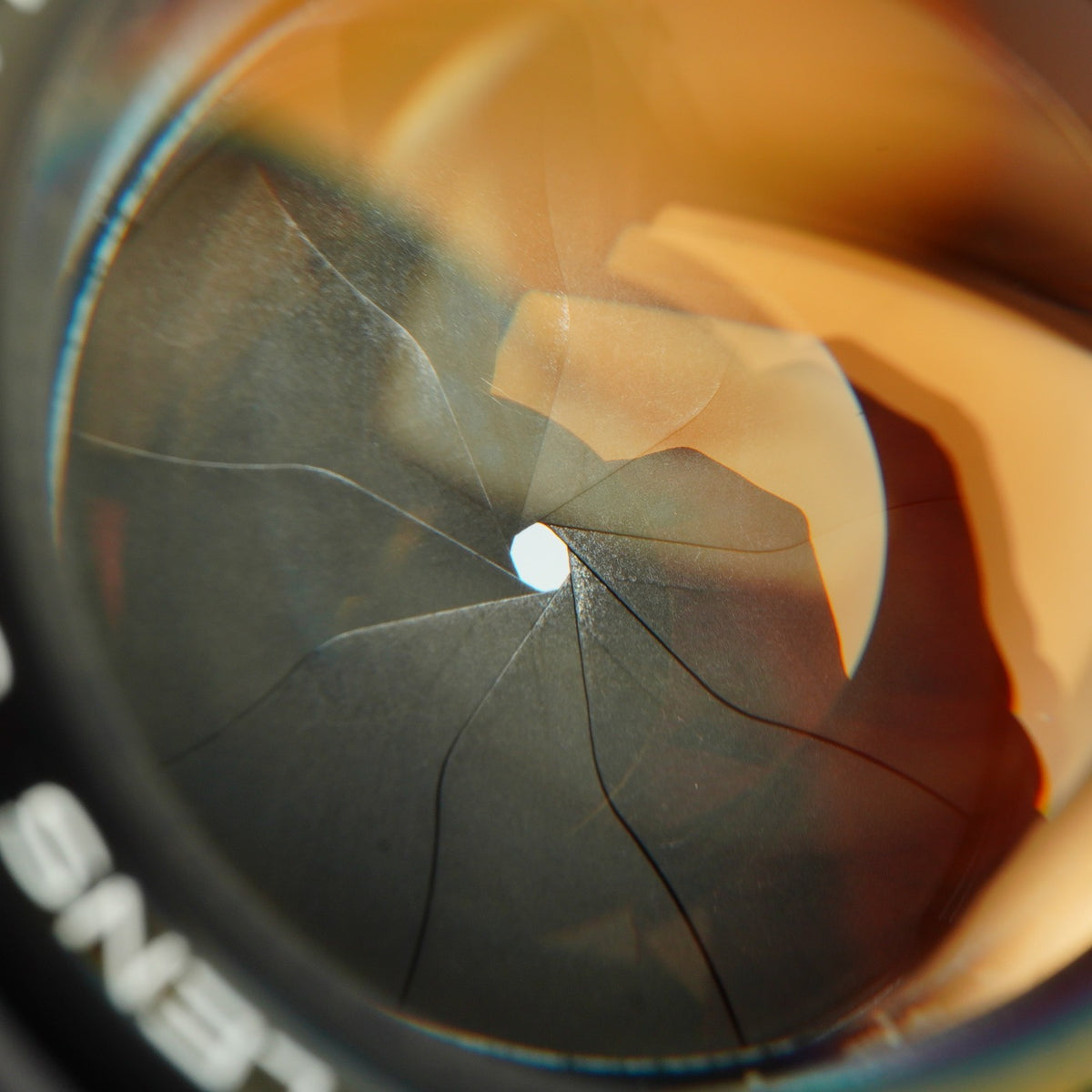 【Serviced】 Canon 50mm F/1.4 LTM 単焦点レンズ