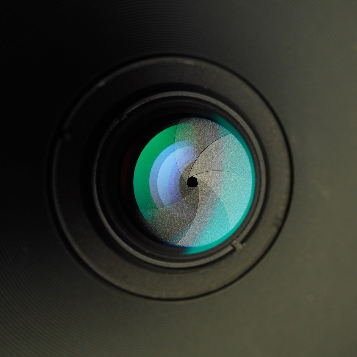 Nikon AF MICRO NIKKOR 55mm F/2.8 単焦点レンズ