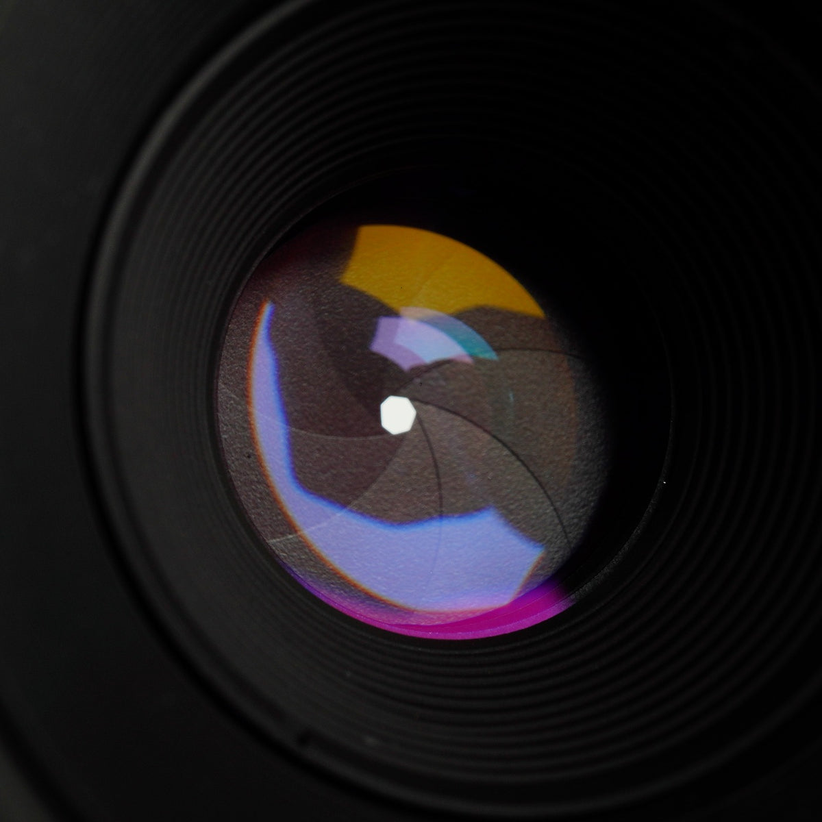 Nikon AF MICRO NIKKOR 60mm F/2.8 単焦点レンズ