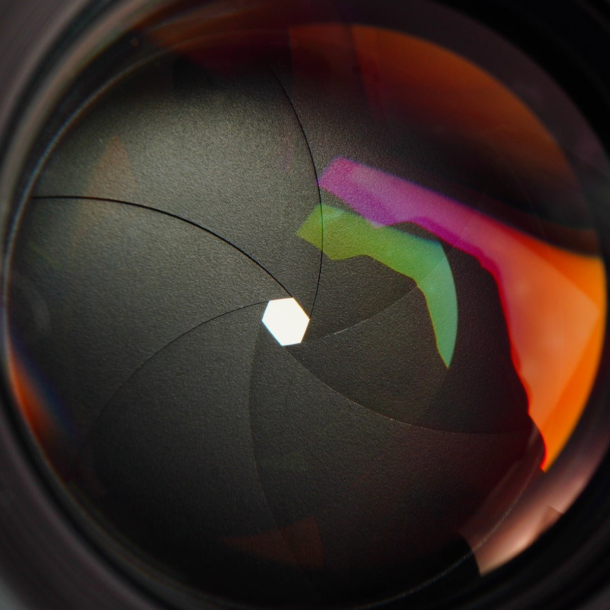【Serviced】 CONTAX Carl Zeiss Planar T* 50mm F/1.4 AEJ 単焦点レンズ