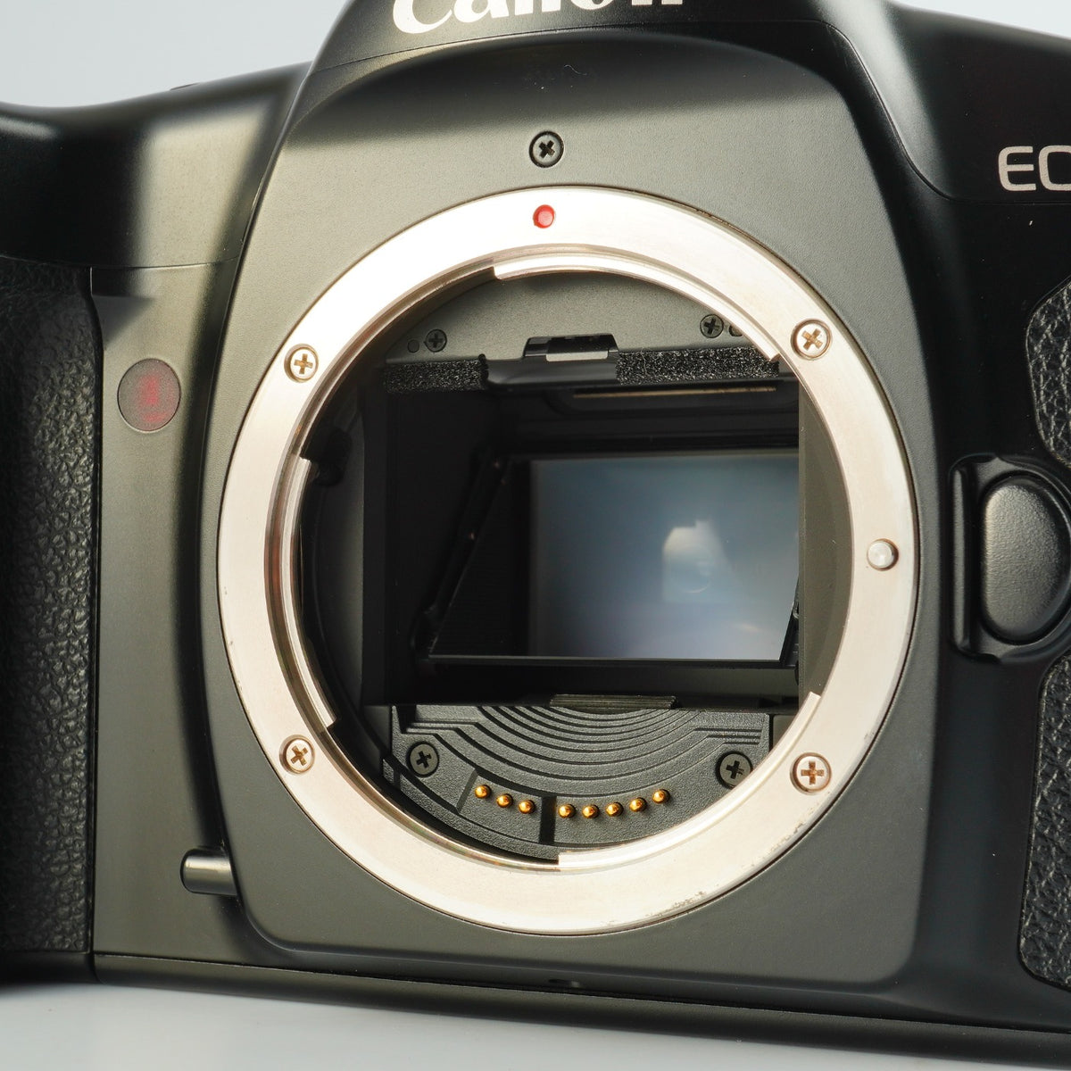 Canon EOS 1N AF フィルム一眼レフカメラ
