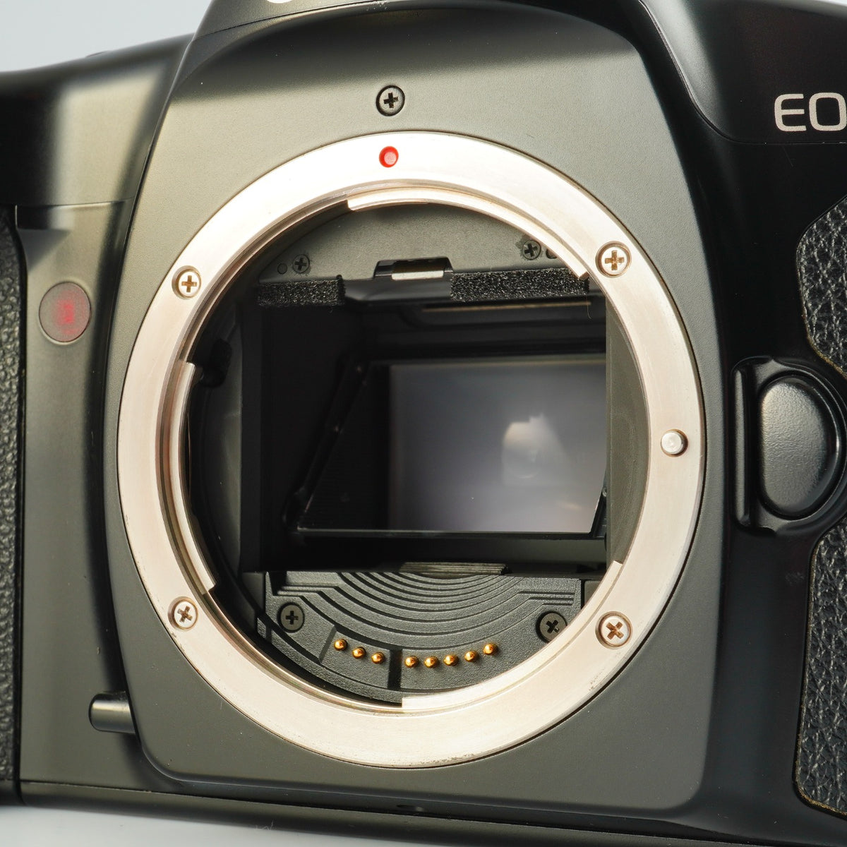 Canon EOS 1N AF フィルム一眼レフカメラ