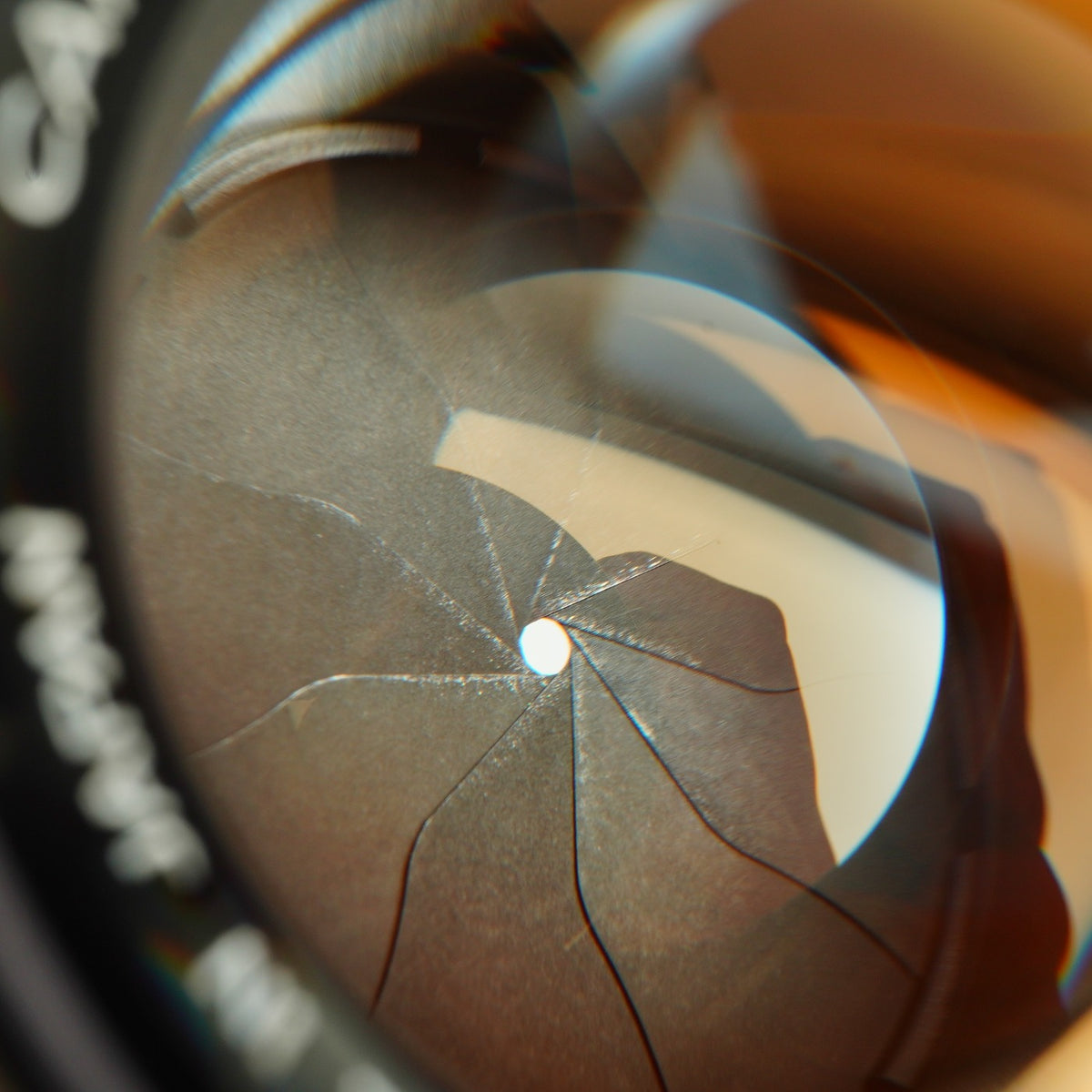 【Serviced】 Canon 50mm F/1.4 LTM 単焦点レンズ