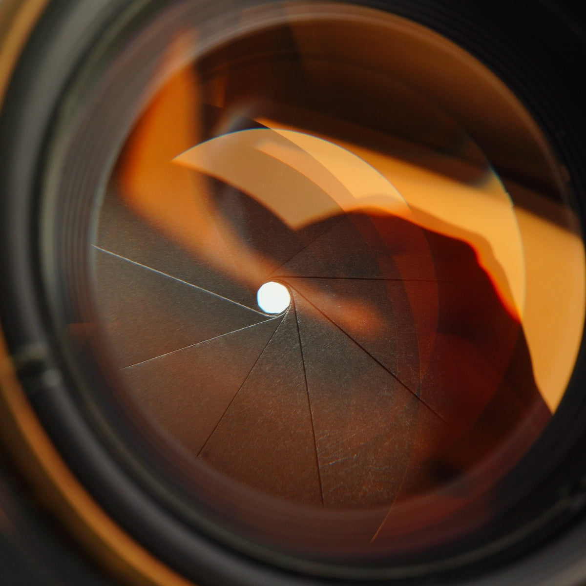 【Serviced】 Canon 50mm F/1.4 LTM 単焦点レンズ