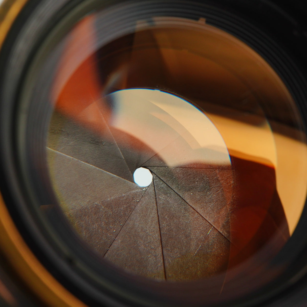 【Serviced】 Canon 50mm F/1.4 LTM 単焦点レンズ