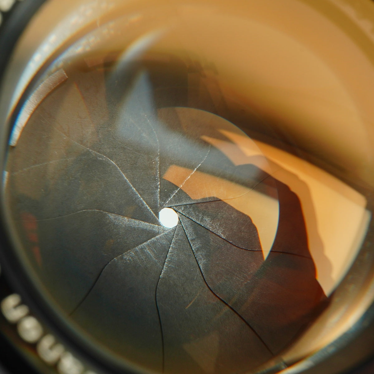 【Serviced】 Canon 50mm F/1.4 LTM 単焦点レンズ