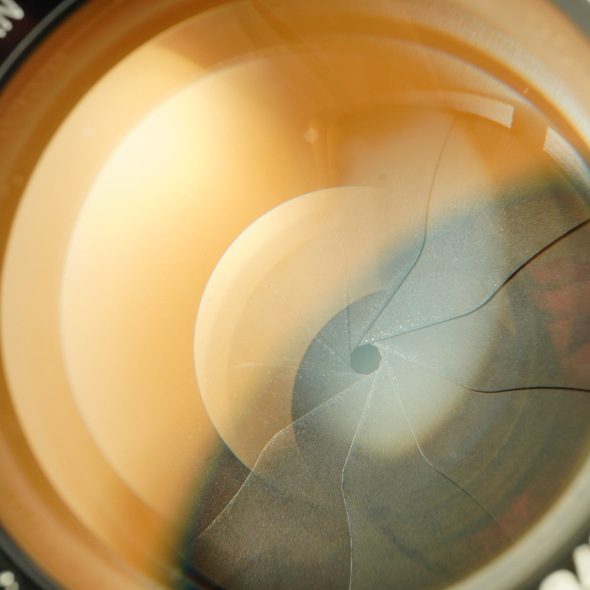 【Serviced】 Canon 50mm F/1.4 LTM 単焦点レンズ