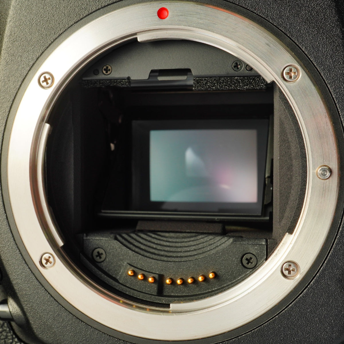 Canon EOS 1D Mark Ⅲ + CF 8GB コンパクトデジタルカメラ