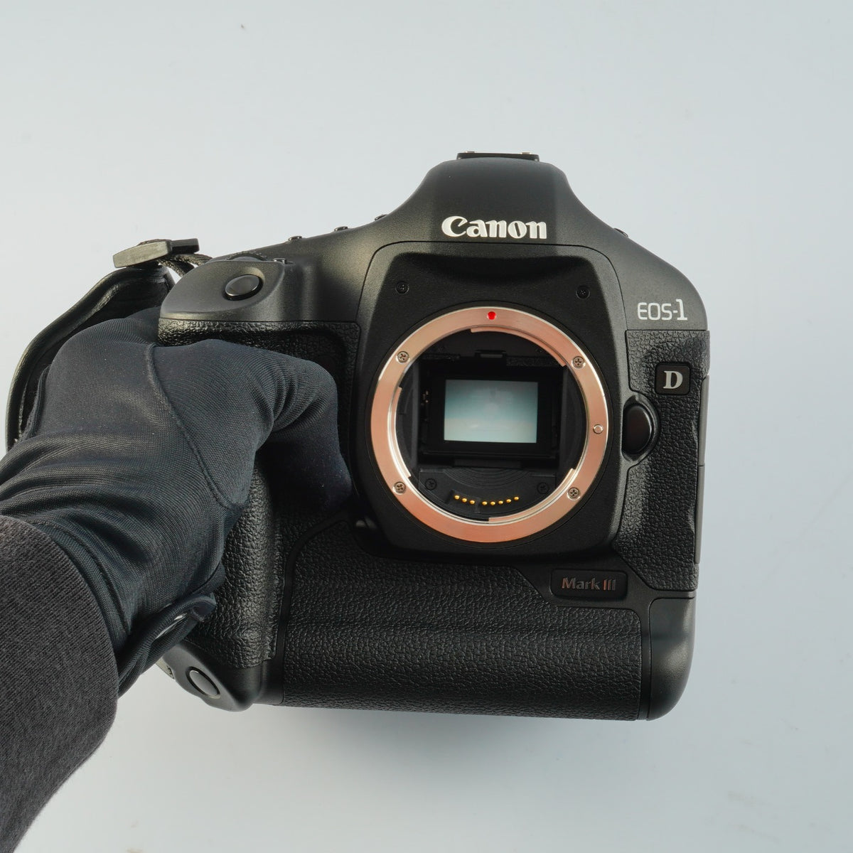 Canon EOS 1D Mark Ⅲ + CF 8GB コンパクトデジタルカメラ